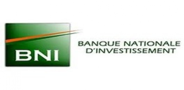 Banque Nationale d&#039;Investissement